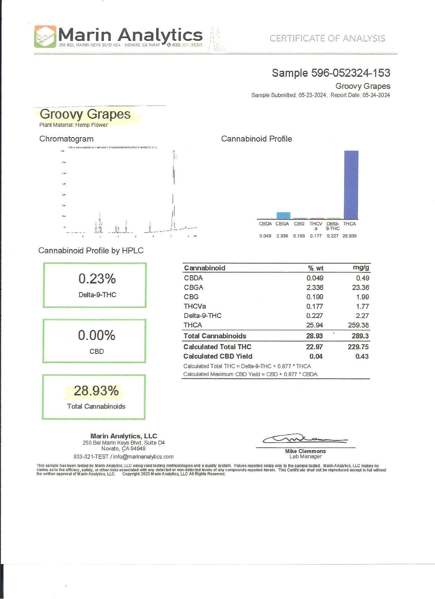 Groovy Grapes 28.93% THCa Buddies420shop