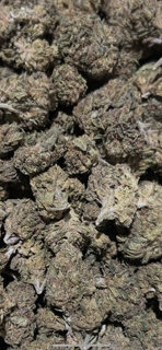 Dolato 28.90%