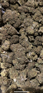Dolato 28.90%