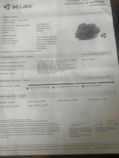 Orange Peach (10) Pre-Rolls TheGoodyCorner.com