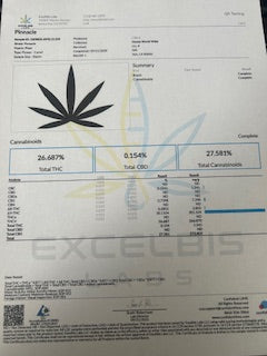 Pinnacle TheGoodyCorner.com