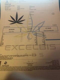 Grape Head (NEW) TheGoodyCorner.com