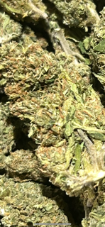 (NEW 12/19/25) Dante Inferno TheGoodyCorner.com