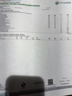 Lemon Gas Mask TheGoodyCorner.com