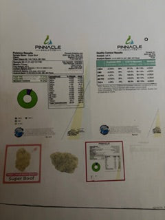 Super Boof - Exotic TheGoodyCorner.com
