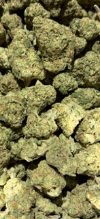 Strawberry Cough - Light Asst TheGoodyCorner.com