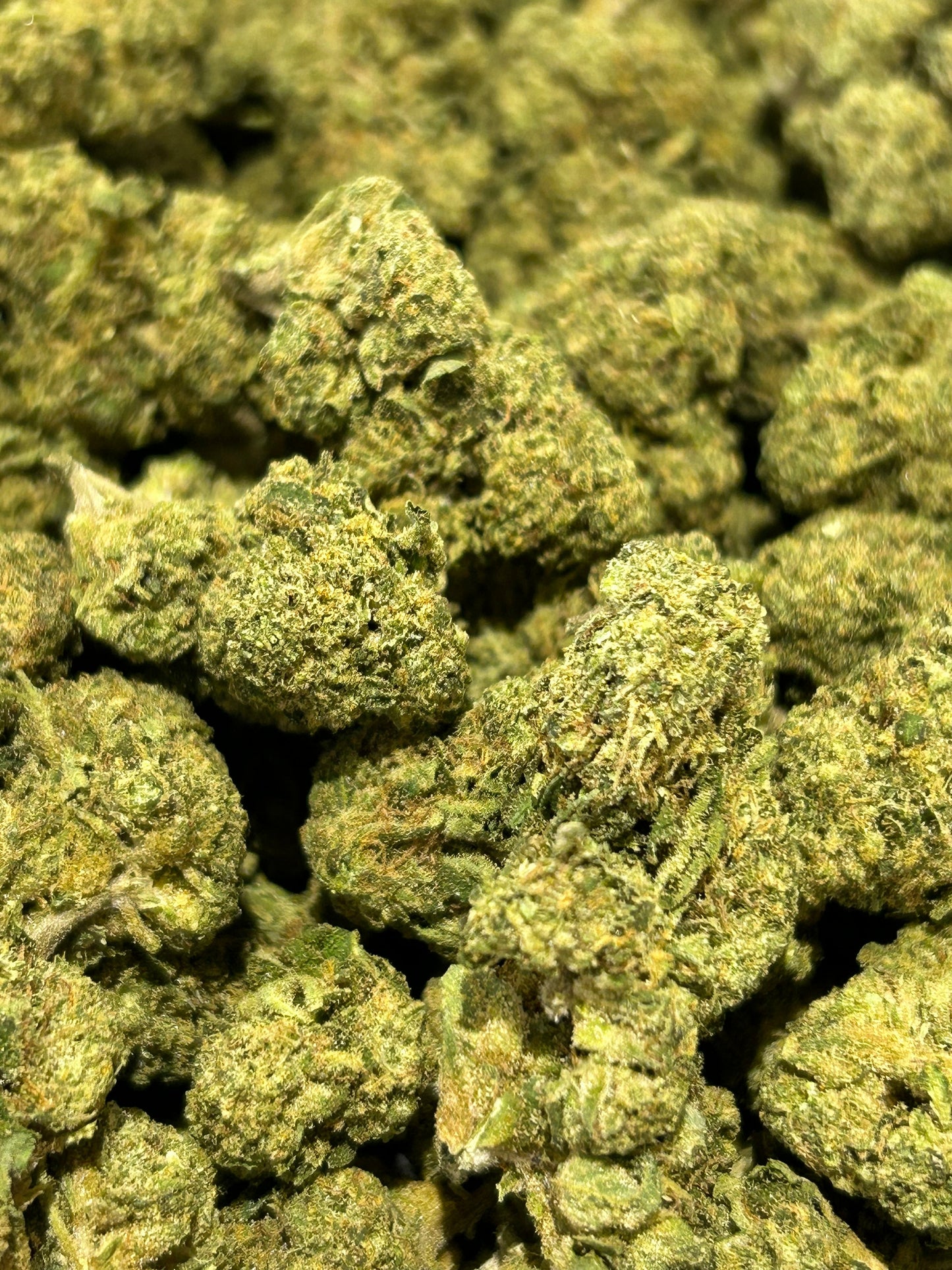 Permanent Marker Pre-rolls 50 King Size (1) one gram each 16.15% THCa TheGoodyCorner.com