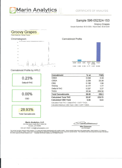 Groovy Grapes 28.93% THCa