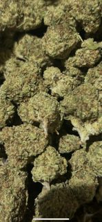 Biscotti 22.06%