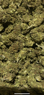 Tangie TheGoodyCorner.com