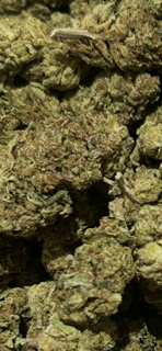 Banana OG TheGoodyCorner.com
