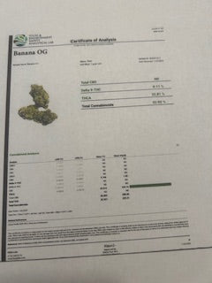 Banana OG TheGoodyCorner.com