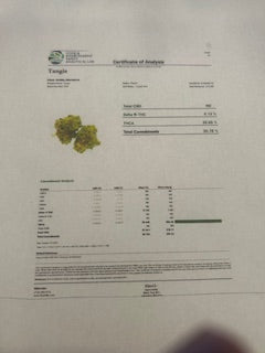 Tangie TheGoodyCorner.com