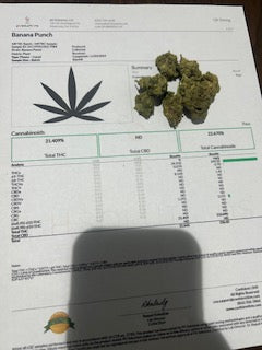 Banana Punch 21.4% THCa TheGoodyCorner.com