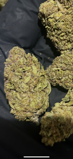 Gush Mintz 30.35 % THCa TheGoodyCorner.com