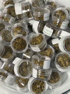 14 Gram Sampler TheGoodyCorner.com