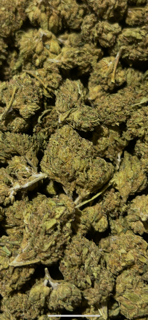 GG4 TheGoodyCorner.com