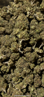 Zazhimi 25.65% TheGoodyCorner.com