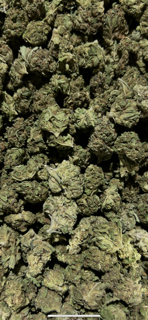 Alien Space Craft TheGoodyCorner.com