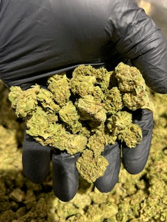 Alien Space Craft TheGoodyCorner.com