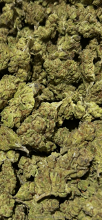 Lavender Lemonade TheGoodyCorner.com