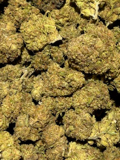 Blue Drip TheGoodyCorner.com