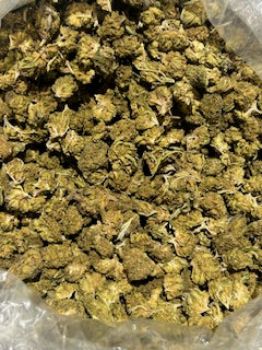 Gelato 41 , 25% THCa (Medium/POP CORN) TheGoodyCorner.com