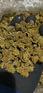 Gelato 41 , 25% THCa (Medium/POP CORN) TheGoodyCorner.com