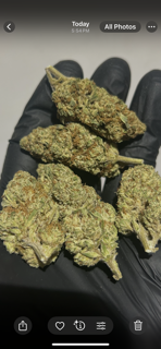 BlueBerry Punch 31.34% THCa TheGoodyCorner.com