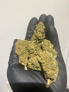 Grape Head (NEW) TheGoodyCorner.com