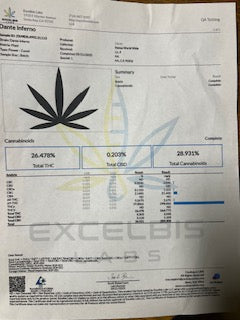 (NEW 12/19/25) Dante Inferno TheGoodyCorner.com