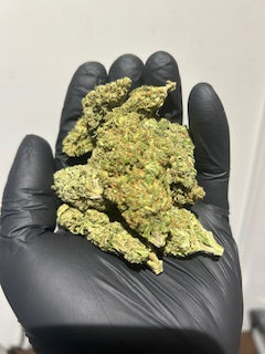 (NEW 12/19/25) Dante Inferno TheGoodyCorner.com