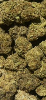 NEW 12/20/25 Cereal Milk TheGoodyCorner.com