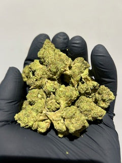 NEW 1-10-2026 GUSH MINTZ