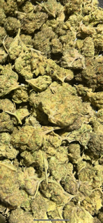 NEW 1-12-26 Lavender Lemonade