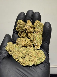 NEW Batch - Dolato 28.90% TheGoodyCorner.com