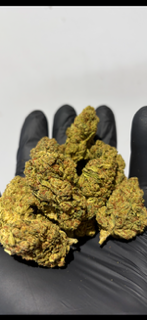 NEW 3/4/26 Batch - Dolato 28.90% TheGoodyCorner.com