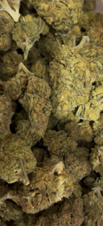 Supernova - Hybrid TheGoodyCorner.com