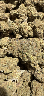 Burger Breath - hybrid TheGoodyCorner.com