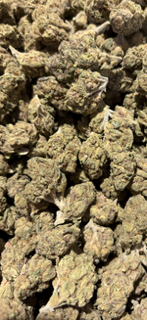 Burger Breath - hybrid TheGoodyCorner.com