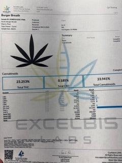 Burger Breath - hybrid TheGoodyCorner.com