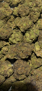Moonbow - Exotic TheGoodyCorner.com