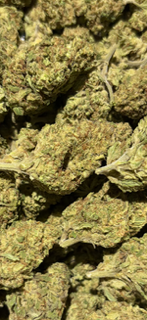 Platinum Lemon Gushers -Indoor TheGoodyCorner.com