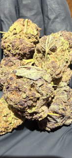 "PURPLE" Purple Reign TheGoodyCorner.com