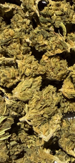 Gelato 41 TheGoodyCorner.com
