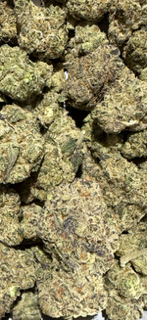Oreoz - EXOTIC INDOOR TheGoodyCorner.com