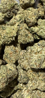 Oreoz - EXOTIC INDOOR TheGoodyCorner.com