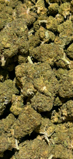 Dante Inferno TheGoodyCorner.com