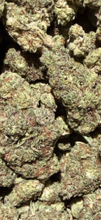 Grapes N Cream TheGoodyCorner.com