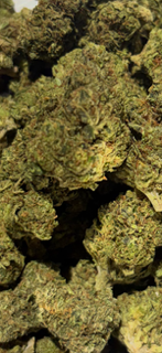 Lemon Drop The Goody Corner